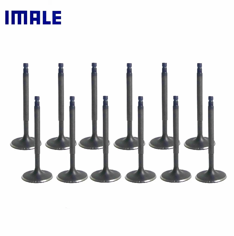 VALVE SET 1.5MM NISSAN TB48DE IMALE IMALE-VNPTB48DE (SKU 43-217)